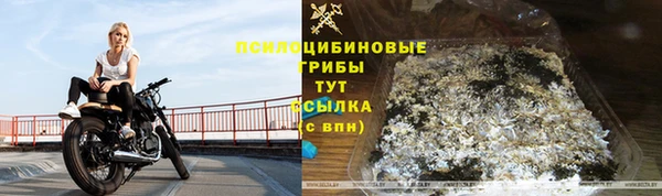 амф Абаза