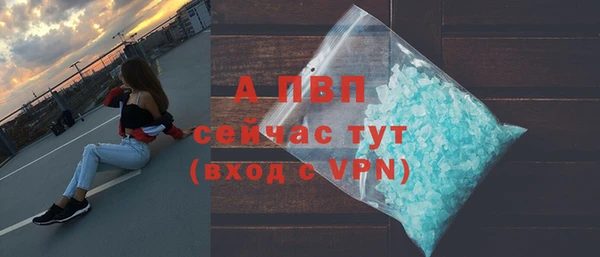 стафф Алексин