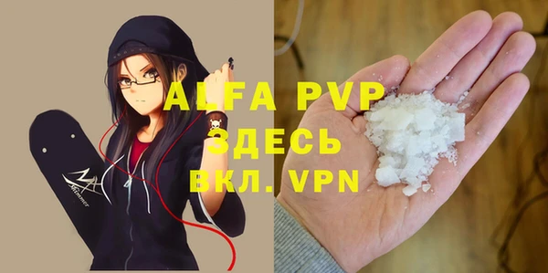 стафф Алексин