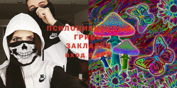 дмт Алексеевка