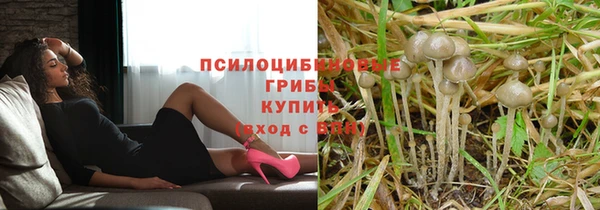 дмт Алексеевка